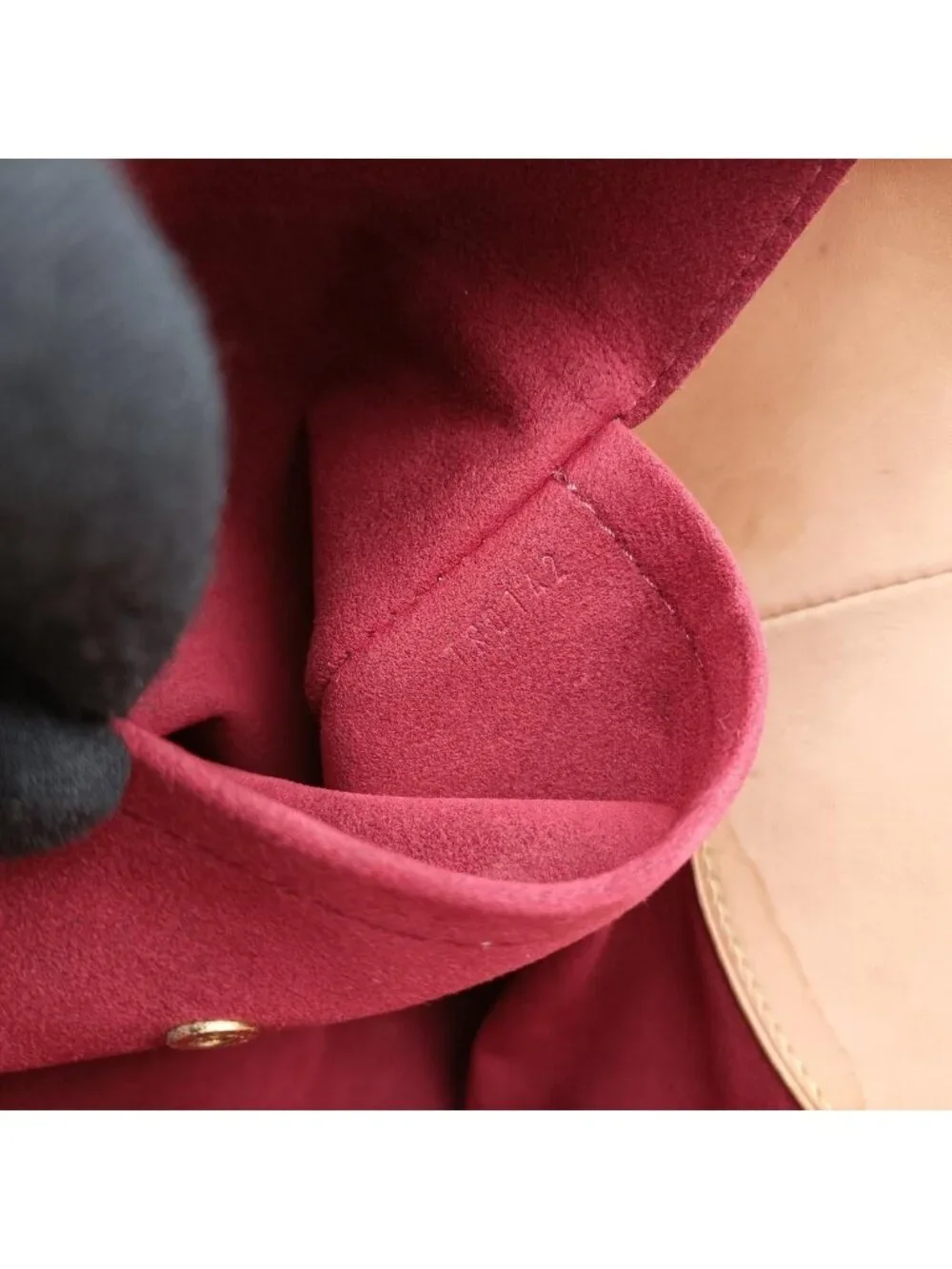 Louis Vuitton brand louis